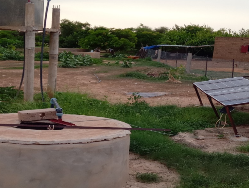 Ruralities52's tweet photo. 🍊 In Bababé, 23 women of the CESSON Cooperative grow veggies &amp; fruit using a 61 m borehole + solar power (and a 21 m well). Work slows seasonally, but clean energy is powering rural farming.

🔗 https://t.co/CUsLiAlZtX

#RURALITIES #RuralInnovation https://t.co/Ddt8j120yG