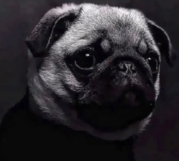 rowny gosc tweet media