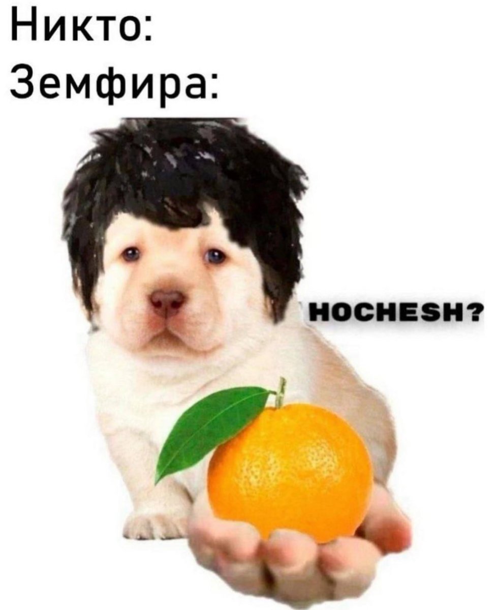 анатолий капустин tweet media