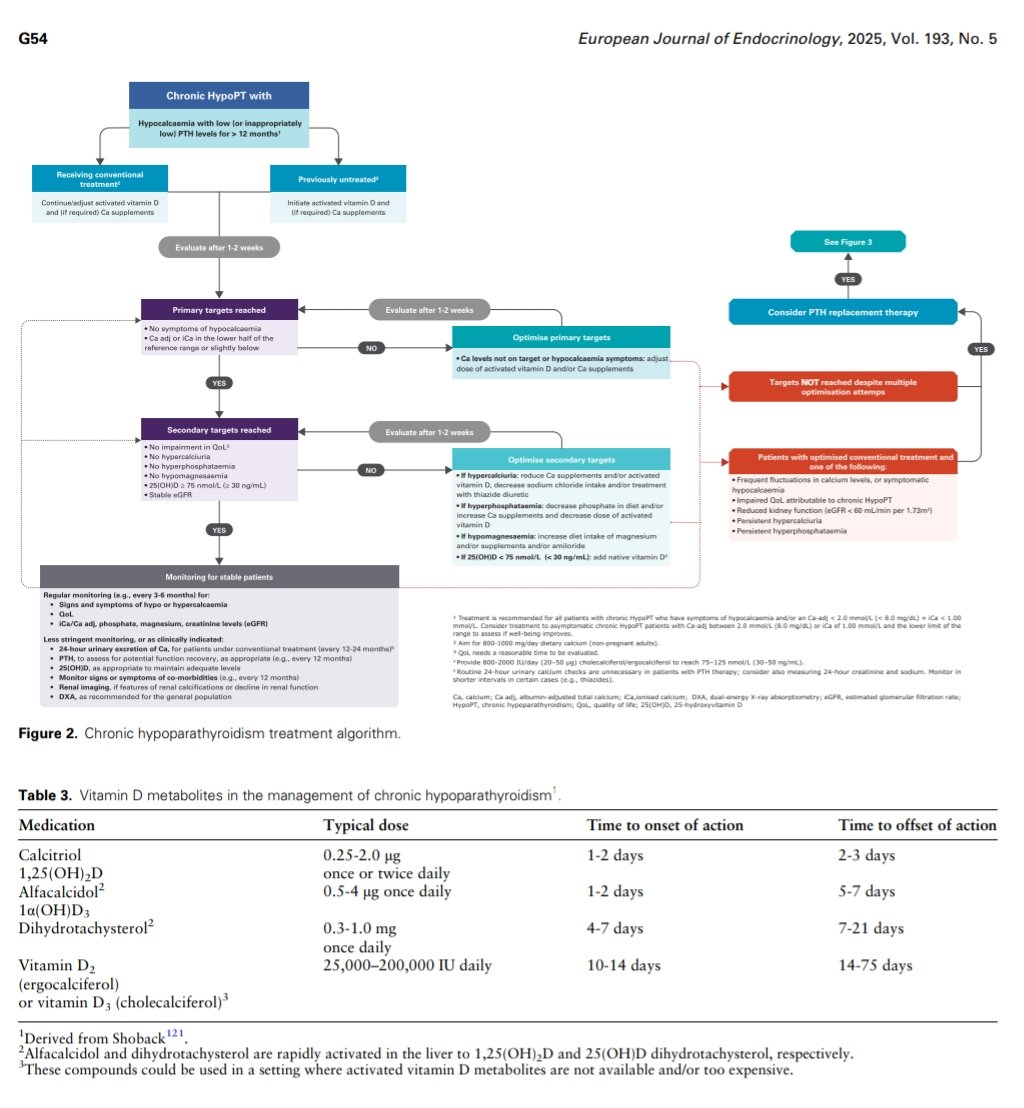 giorg_kyriakos's tweet image. 🆕 @ESEndocrinology 2025 #Hypoparathyroidism Guidelines: 
• Focus on biochemical targets + symptoms
• Stepwise optimisation before #PTH
• PTH therapy ↓ pill burden &amp;amp; may ↑ QoL
• Clear algorithms for Ca/VitD + PaloPeg titration

🔗 doi.org/10.1093/ejendo…
#EndoTwitter