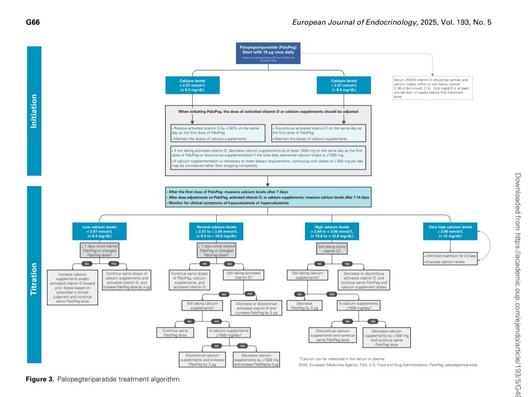 giorg_kyriakos's tweet image. 🆕 @ESEndocrinology 2025 #Hypoparathyroidism Guidelines: 
• Focus on biochemical targets + symptoms
• Stepwise optimisation before #PTH
• PTH therapy ↓ pill burden &amp;amp; may ↑ QoL
• Clear algorithms for Ca/VitD + PaloPeg titration

🔗 doi.org/10.1093/ejendo…
#EndoTwitter