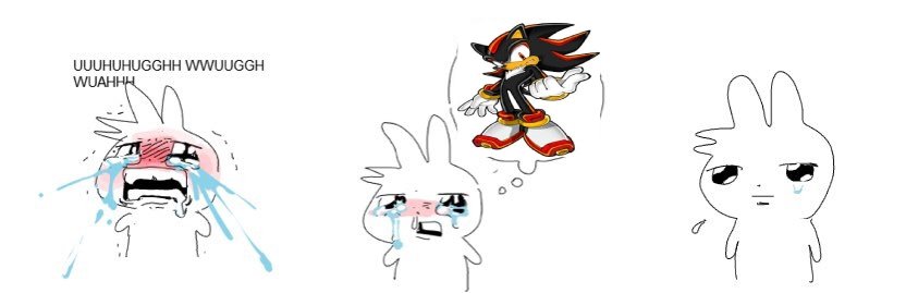 #1 Shadow The Hedgehog Fan (@realshadowfan01) on Twitter photo 