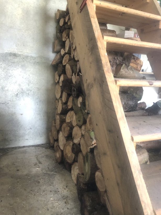 Samuel Deane tweet media