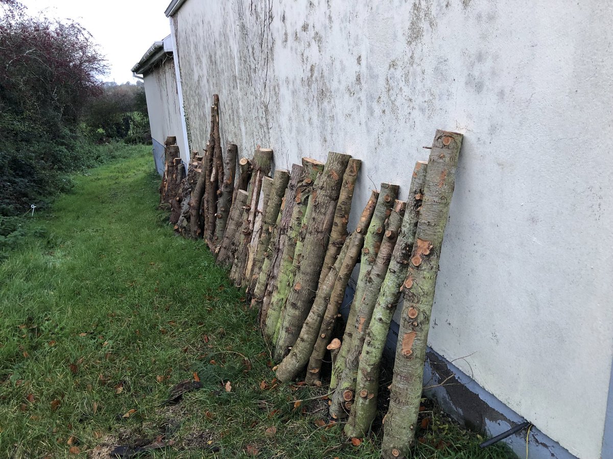 Samuel Deane tweet media