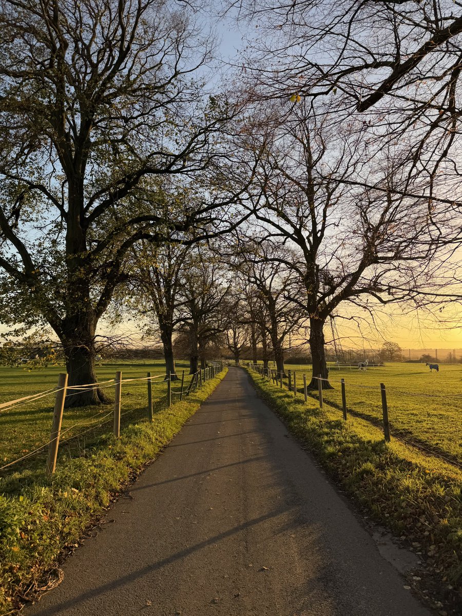 hikingshawty's tweet image. today i walked four miles and i had mini chocolate weetabix for dinner &amp;lt;3