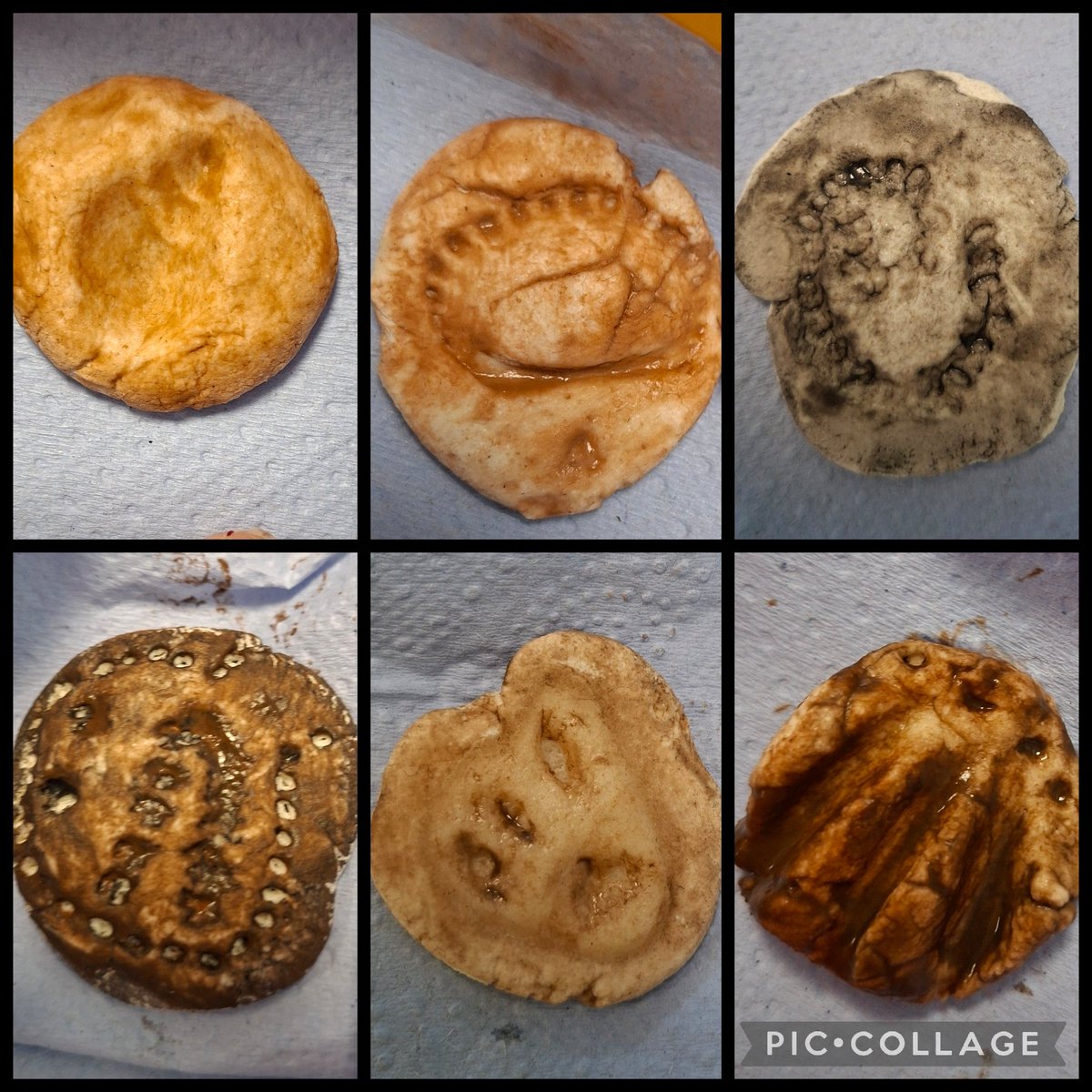 MrsDorrianStN's tweet image. P3 finished their fossils today,  by painting them, as they had hardened just like a real fossil! I&apos;m sure you&apos;ll agree that the end results are fabulous! #dinosaurs #fossils #Creative @saintninians 🦖🪨
