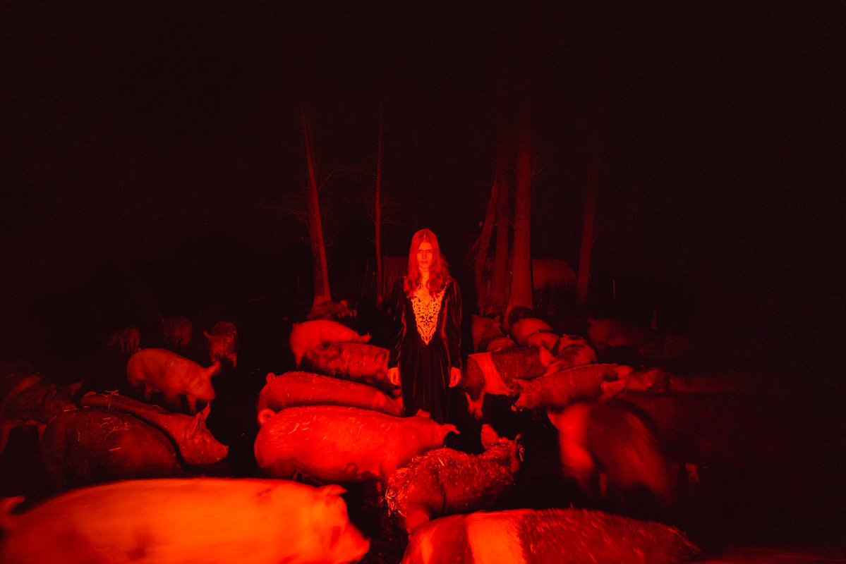 briscoepark's tweet image. just outside the slaughterhouse