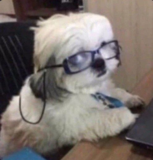 Крися бананове

Не питайте, я сама не знаю