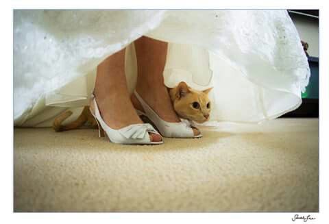 arctiquehare's tweet image. I like this image a lot