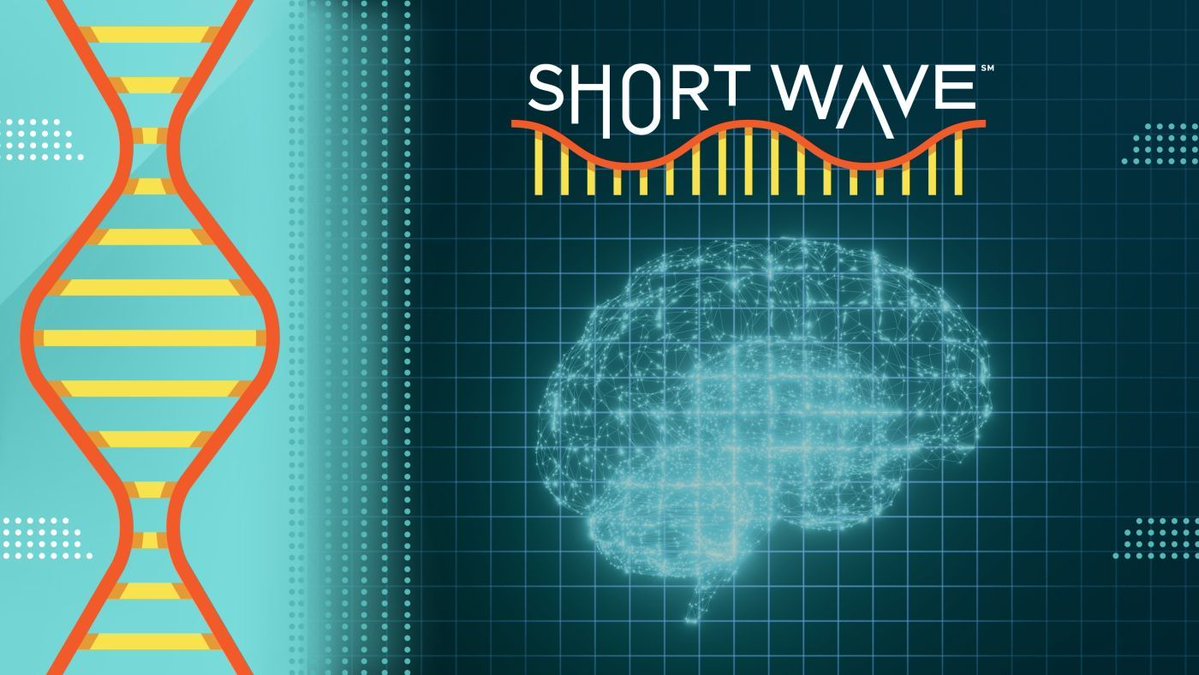 NACDA_Aging's tweet image. Want to keep your brain from aging? Try a cognitive workout
via NPR, 11-minute listen
&quot;The results of this 10-week study back earlier animal research showing that environments that stimulate the brain can increase levels of certain neurotransmitters.&quot;
buff.ly/hC2Owul