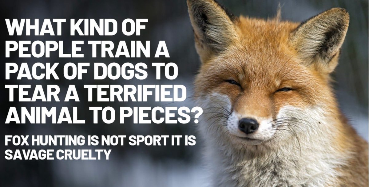 Please contact your MP using our handy tool 👇

protectthewild.org.uk/endhuntingnow/