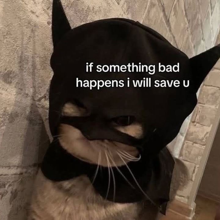 Natefrog02 (@natefrog02) on Twitter photo 