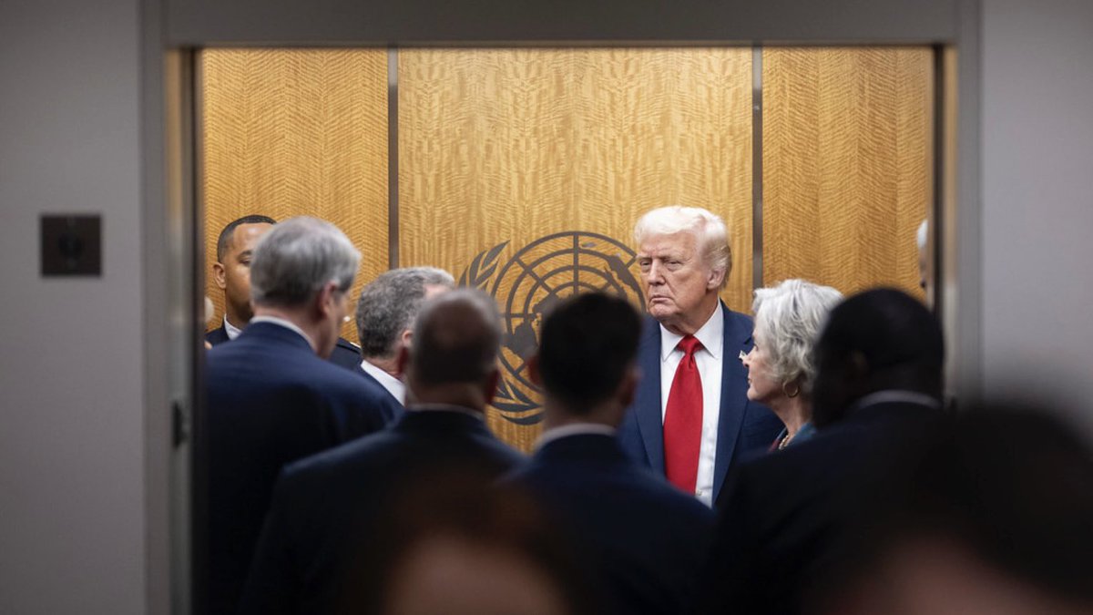 Summer’s Diplomacy

The Global System’s Bureaucracy—An Opportunity for Daddy Trump ?