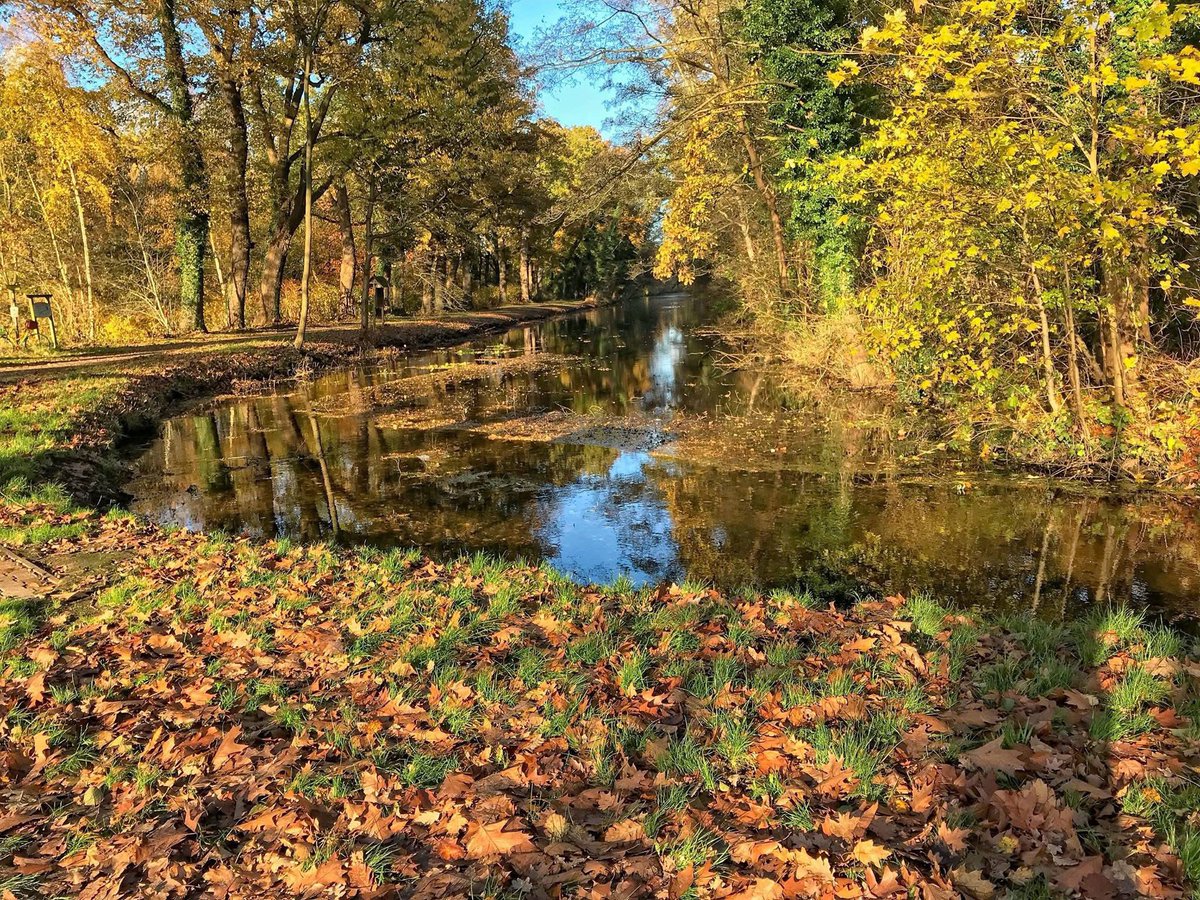 Dornaigil's tweet photo. Der Haneken Kanal 
Der 1829 fertig gestellte Haneken Kanal hatte von Hanekenfähr bis Meppen eine Länge von 25km, war auf Wasserspiegelhöhe 16m breit und 1,5m tief. Zur Wasserhaltung und Überwindung von 11,17m Höhenunterschied dienten die vier Schleusen Geeste, Varloh, Teglingen https://t.co/7K5YwL4yl6