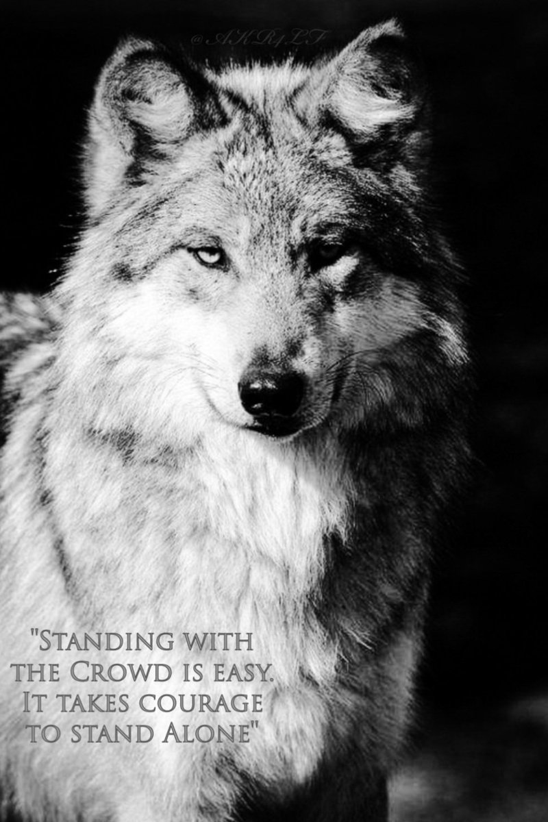 AKR4LF's tweet image. 