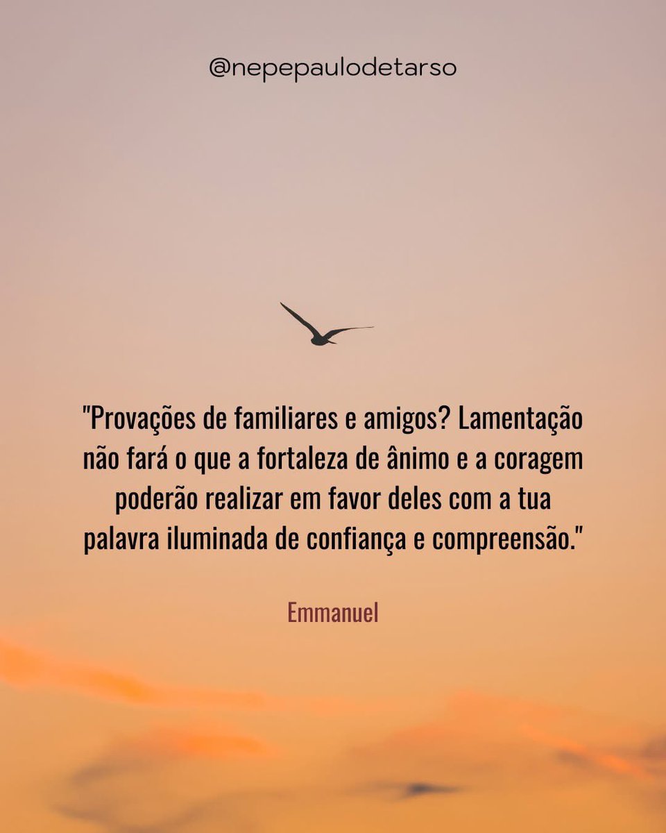 nepepaulo_tarso's tweet image. (Emmanuel/Chico Xavier - Calma, cap. 7)
&quot;Provações de familiares e amigos? Lamentação não fará o que a fortaleza de ânimo e a coragem poderão realizar em favor deles com a tua palavra iluminada de confiança e compreensão.&quot;