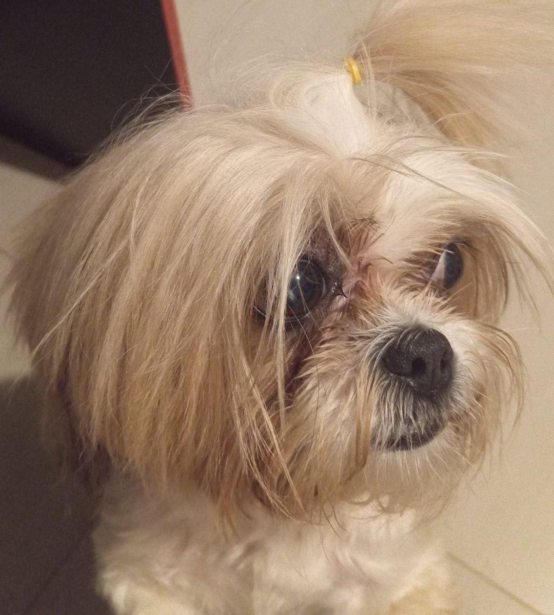 Ela tem medo de chuva