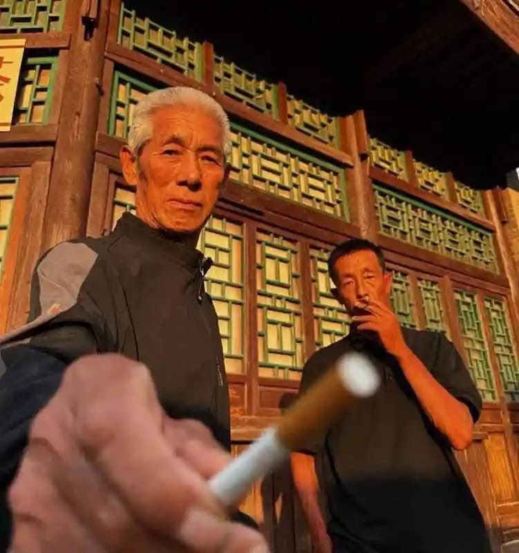 Ungovernable Cat tweet media