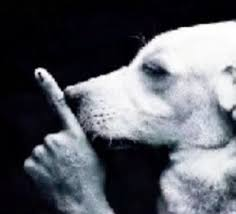 DonnelVillager's tweet image. finding out that your uncle is one of the biggest right wing anti trans grifters on this app during thanksgiving dinner