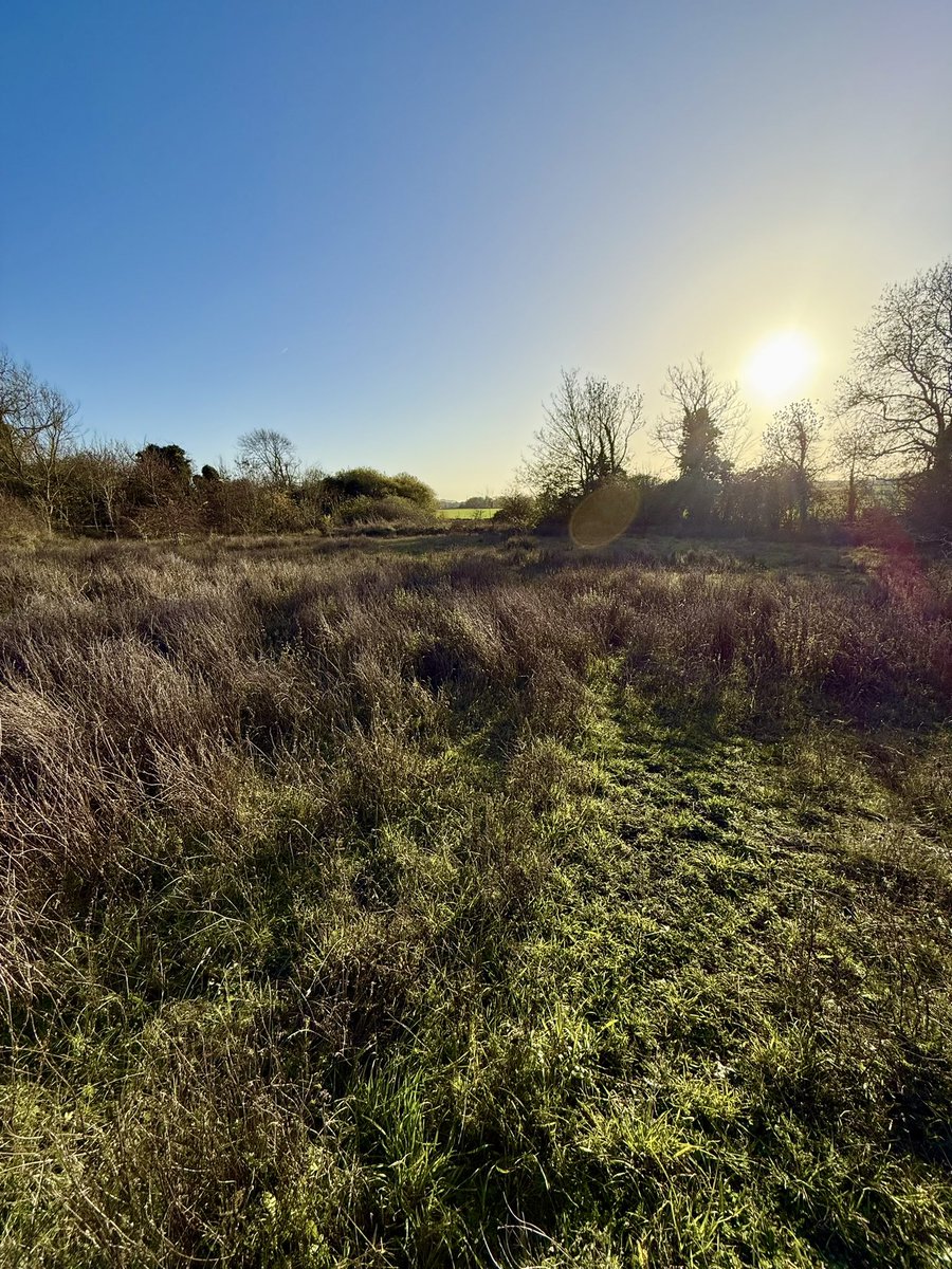 _JoelAshton's tweet photo. A beautiful day for cutting hay! Managing one of the many #wildflowermeadows that I’ve created over the last 20 years. This one has 31 recorded butterfly species and has the same floral diversity as SSSI grassland. All on less than an acre. #Meadow #NoMowSummer https://t.co/IzpQgEobwC
