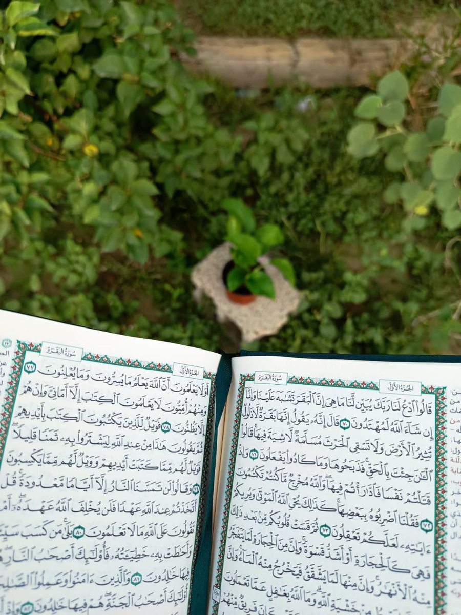 عابرة سبيل 🌿 tweet media