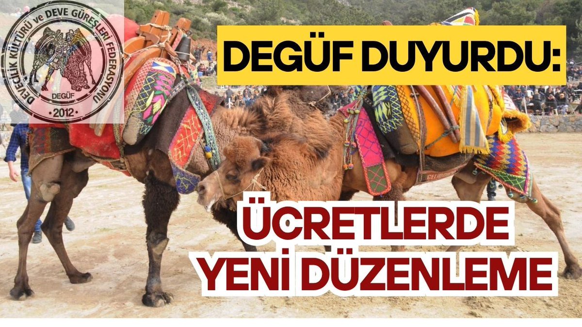 09YeniKiroba's tweet image. DEGÜF duyurdu: Ücretlerde yeni düzenleme yenikiroba.com/deguf-duyurdu-… #DEGÜF #nakliye #deve