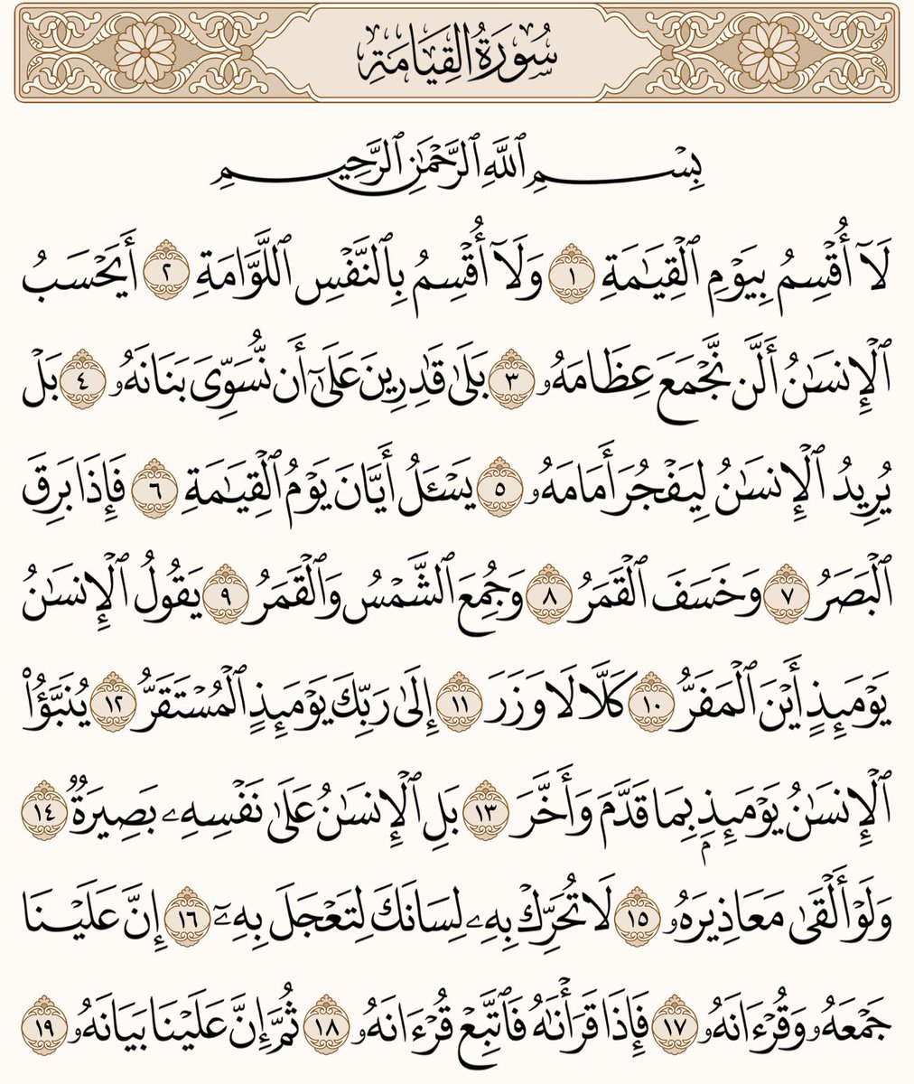 الهذلي tweet media