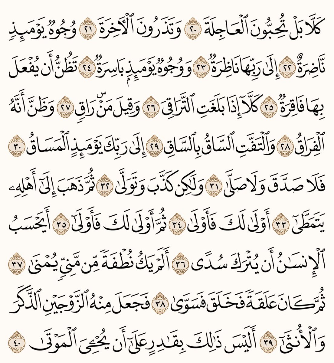 الهذلي tweet media