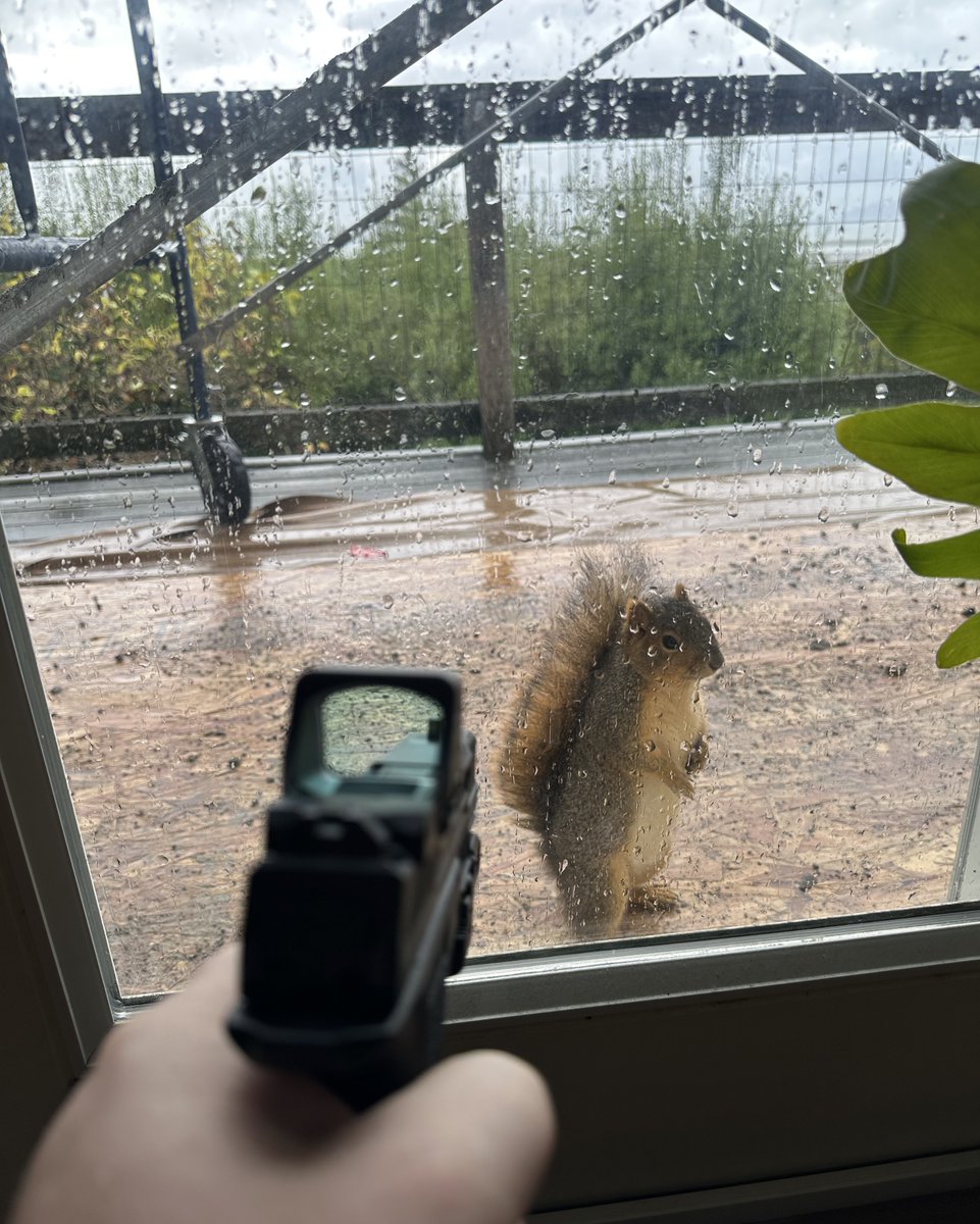 hopes_revenge's tweet image. ❤️ to save  him , 🔁   to kill him