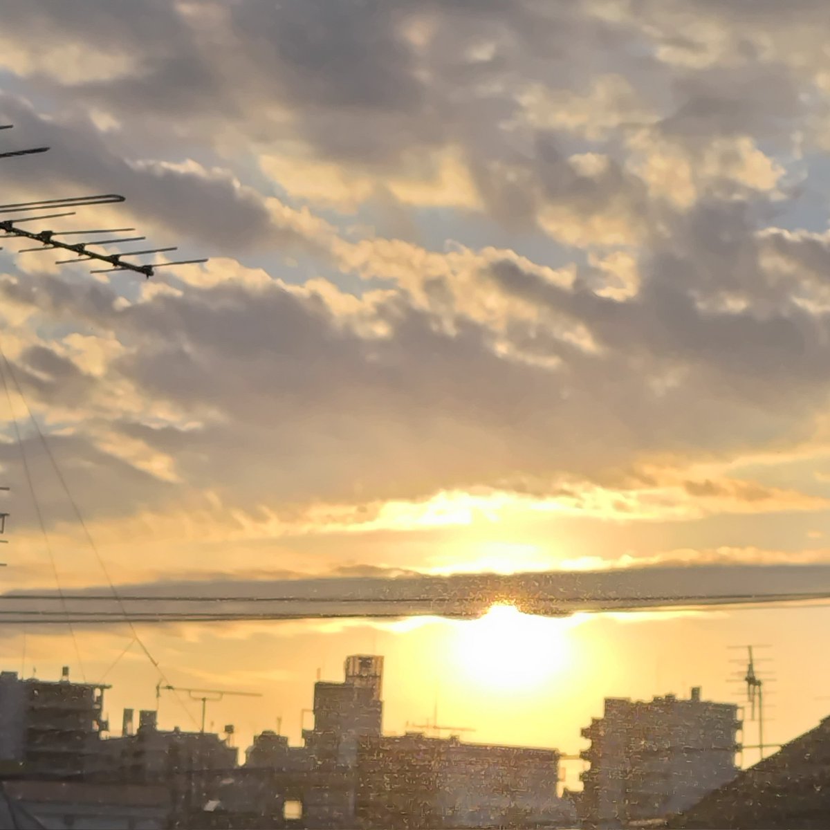 一つの事に向かい
皆で協力して団結して
やり切り成し遂げると
達成感や充実感を感じる

でもたまに疲労感しか
感じないことがあって

もしかするとそこには
少し自分の意に反した事が
あったのかもしれない

気付かないうちに
"流されてしまってる"
部分があったのかもしれないな…

良い一日を☕