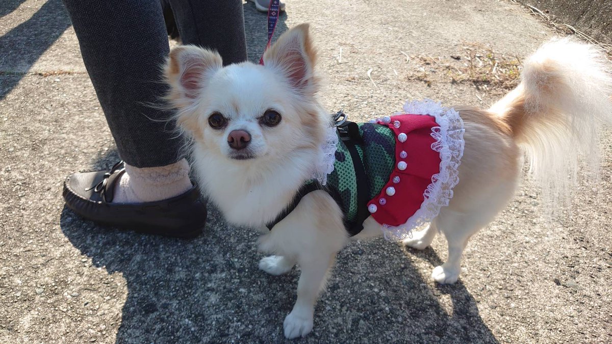 RoiSyu (@roisyu_eft) on Twitter photo 