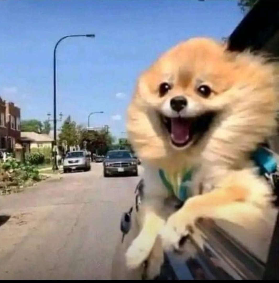 TechMan__'s tweet image. Nigeria dxx rn