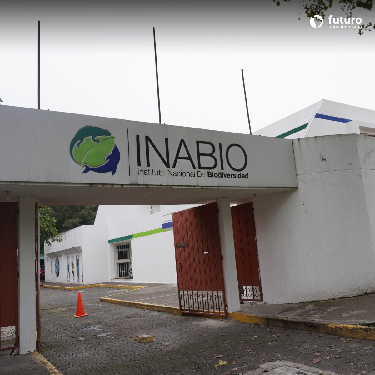 FuturoLatinoame's tweet photo. #Institucional |🌼Hoy desde @FuturoLatinoame  participamos en el evento de premiación del “Desafío Naturalista Estudiantil 2025”, una iniciativa de @INABIO_EC, que promueve educación ambiental y ciencia ciudadana entre estudiantes de secundaria de diversas instituciones del país. https://t.co/aYKBHzHZ95
