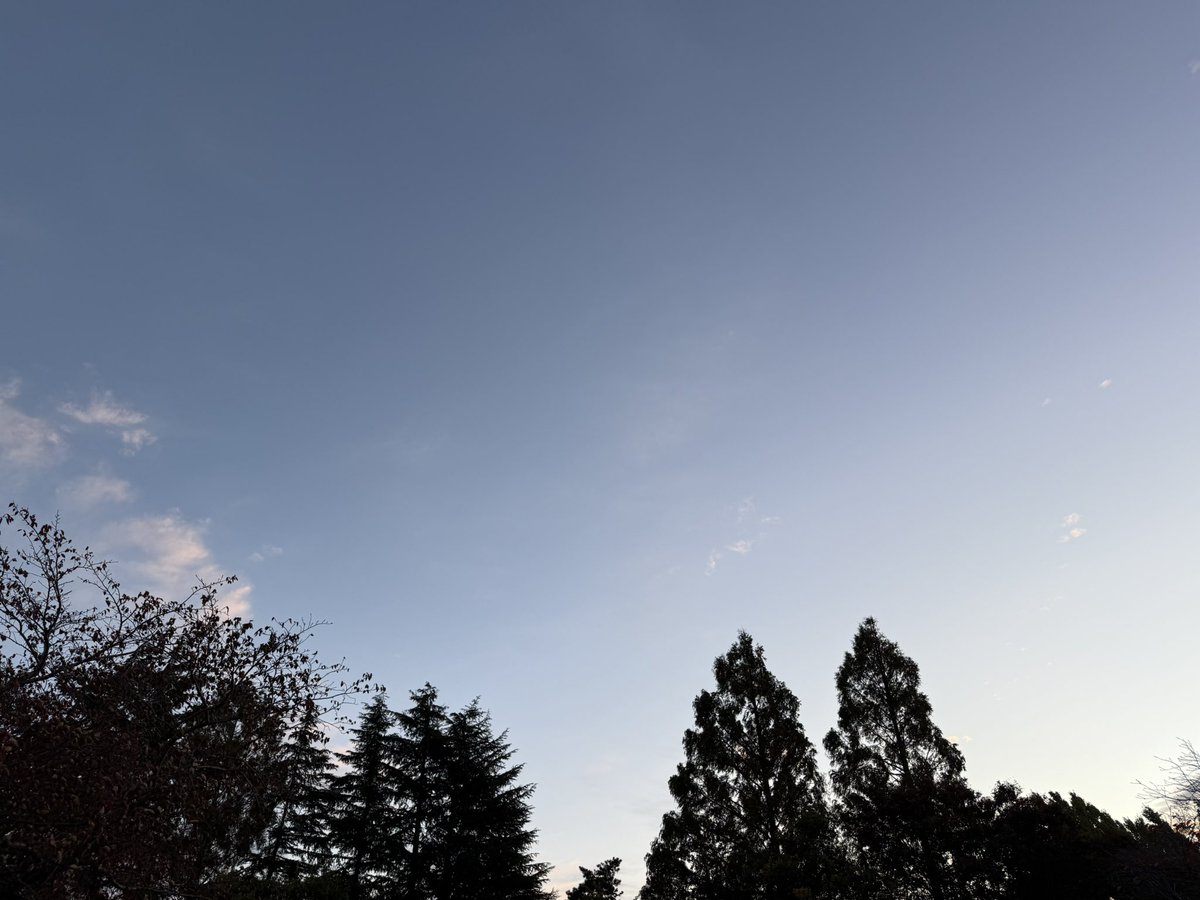 MSP_PiPi_san's tweet image. おはようございます☀️
#イマソラ #ランニング #朝ラン #マラソン