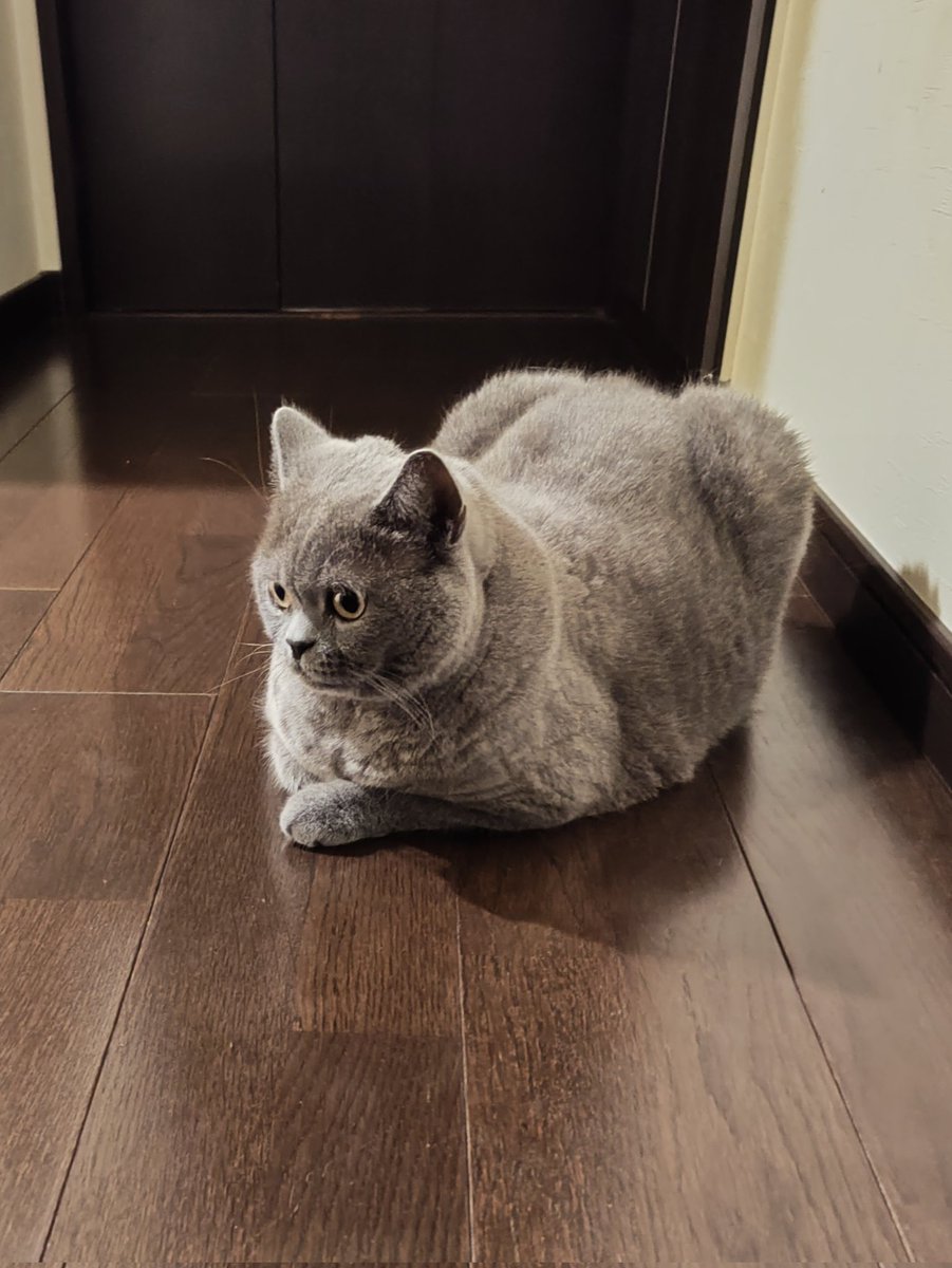 来夢 (@k2kBcTiP82T4D13) / Posts / X