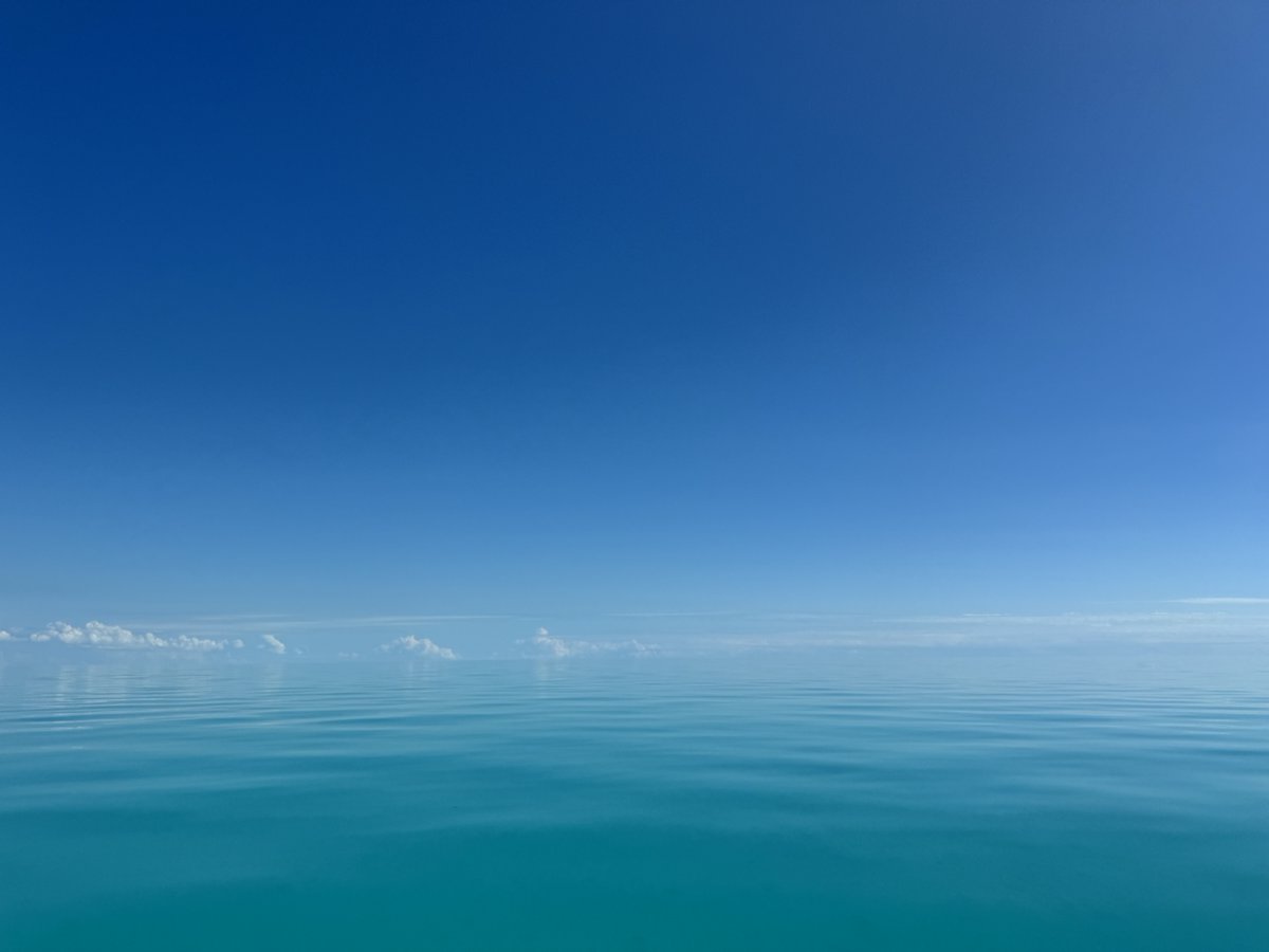 Stephanie S tweet media