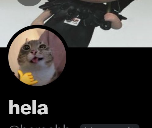 Trafalgar D. Lisha tweet media