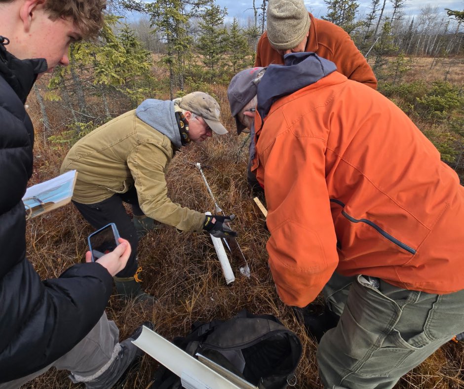 LockerbyNet's tweet image. Some of our STEP students have taken a special interest in the contents of soils in the Laurentian University wetland study! These intrepid Vikings braved the chilly conditions to get out and sample their study site. Next? Background research, and eventually laboratory work.