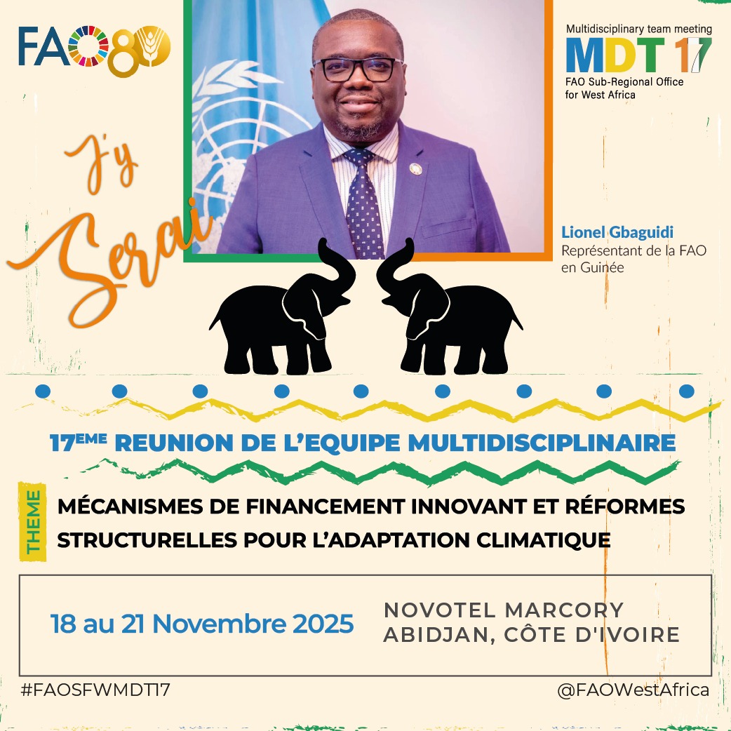 17ᵉ Réunion de l’Équipe Multidisciplinaire de la <a href="/FAOWestAfrica/">FAO West Africa</a>
Abidjan, Côte d’Ivoire – du 18 au 21 novembre 2025.
#FAO80 #FAOSFWMDT17