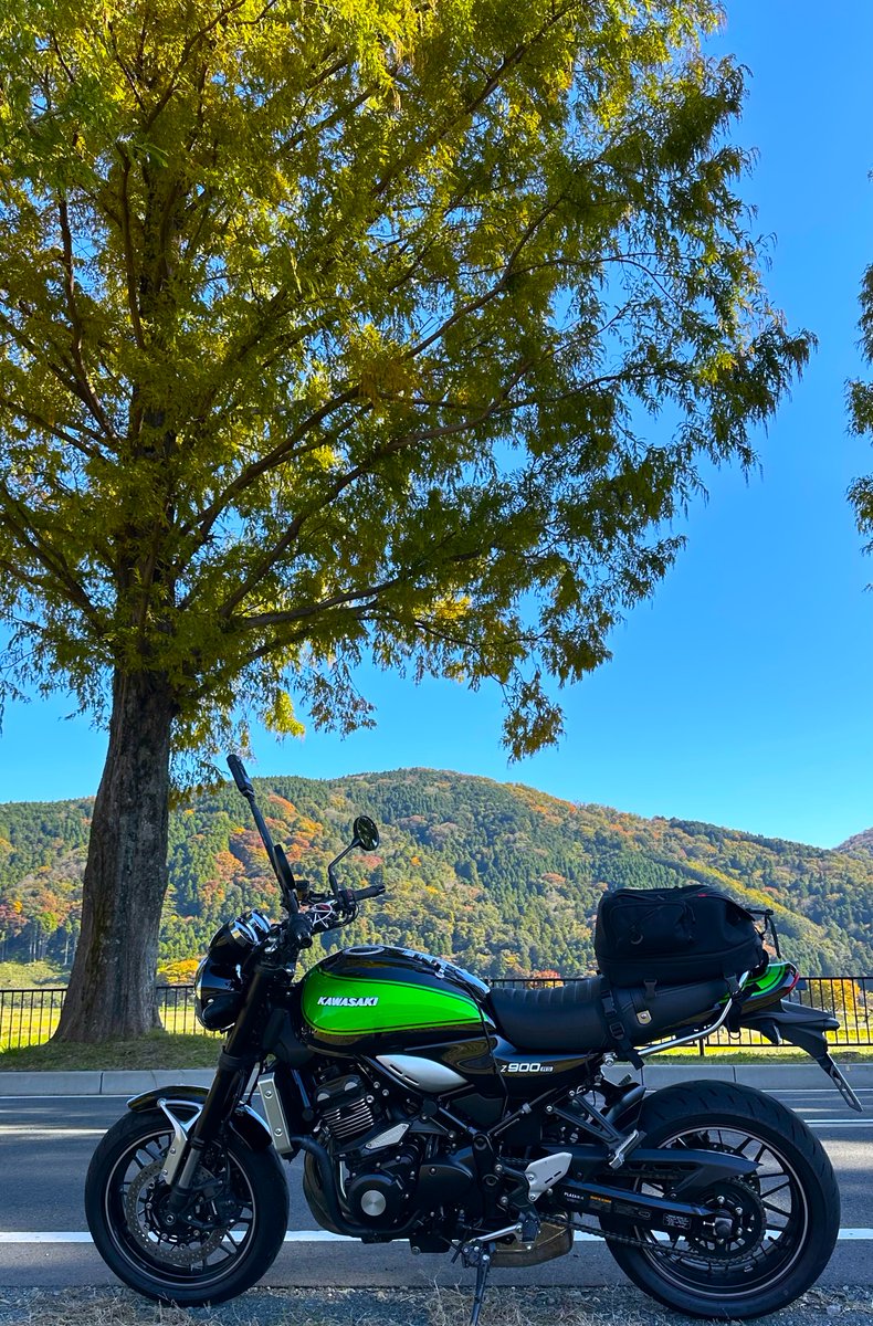 とらちゃんページ とらちゃん on X