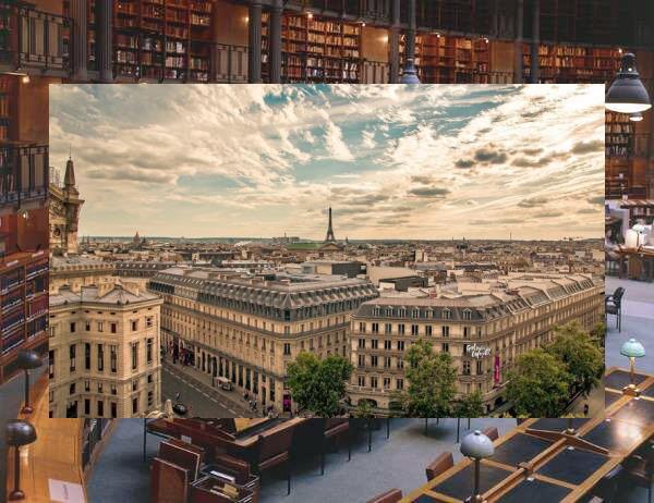 zommo7's tweet image. 🥤Petals press, flat between book pages.🐤Dust wiped, away.