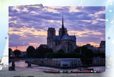 II_BooM_II's tweet image. 🤧Jungle drips with wet green🦮Coffee refill, day.