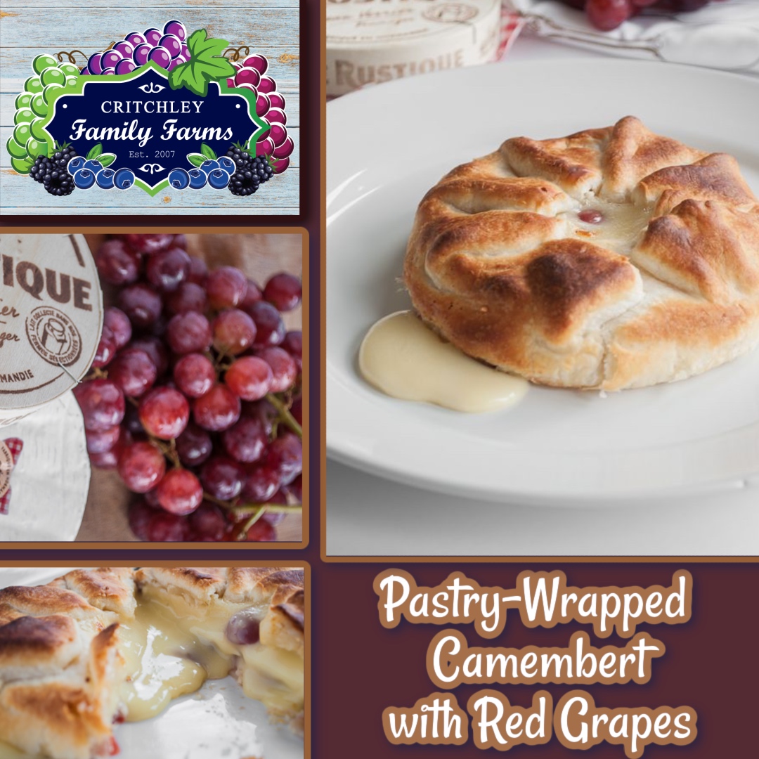 Baked, melty perfection! 😍 This Pastry Wrapped Camembert with fresh #RedGrapes is a show-stopping addition to your #holiday appetizer spread.
Sweet, savory, and oh-so-simple — it’s peak #CaliforniaGrapeSeason!
critchleyfamilyfarms.com/recipes/pastry…

#CritchleyFamilyFarms #TableGrapes