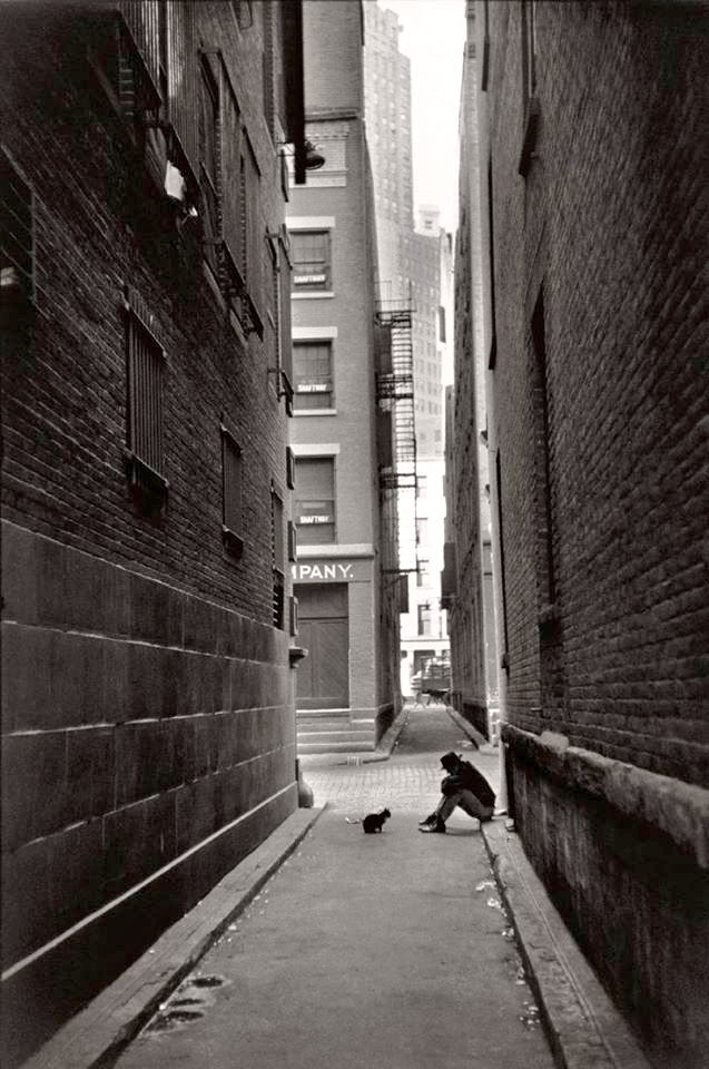 Bunca betonun ortasında şehirle başa çıkmanın yolu, derdini bir kediye yükleyip onun umursamazlığından ders almaktan geçiyor... 🐈 

📷 Henri Cartier-Bresson