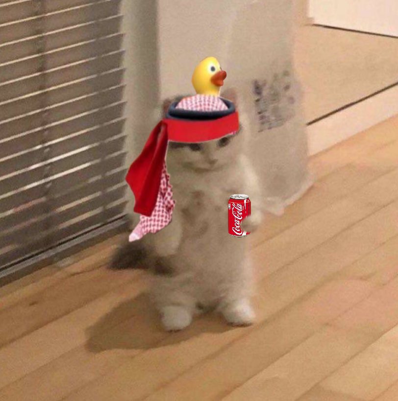 Bear market? FUD? Bad news?
We don’t care.

$MICHI was here.
$MICHI is here.
$MICHI will be here.

Conviction &gt; conditions.
The community always wins in the end.