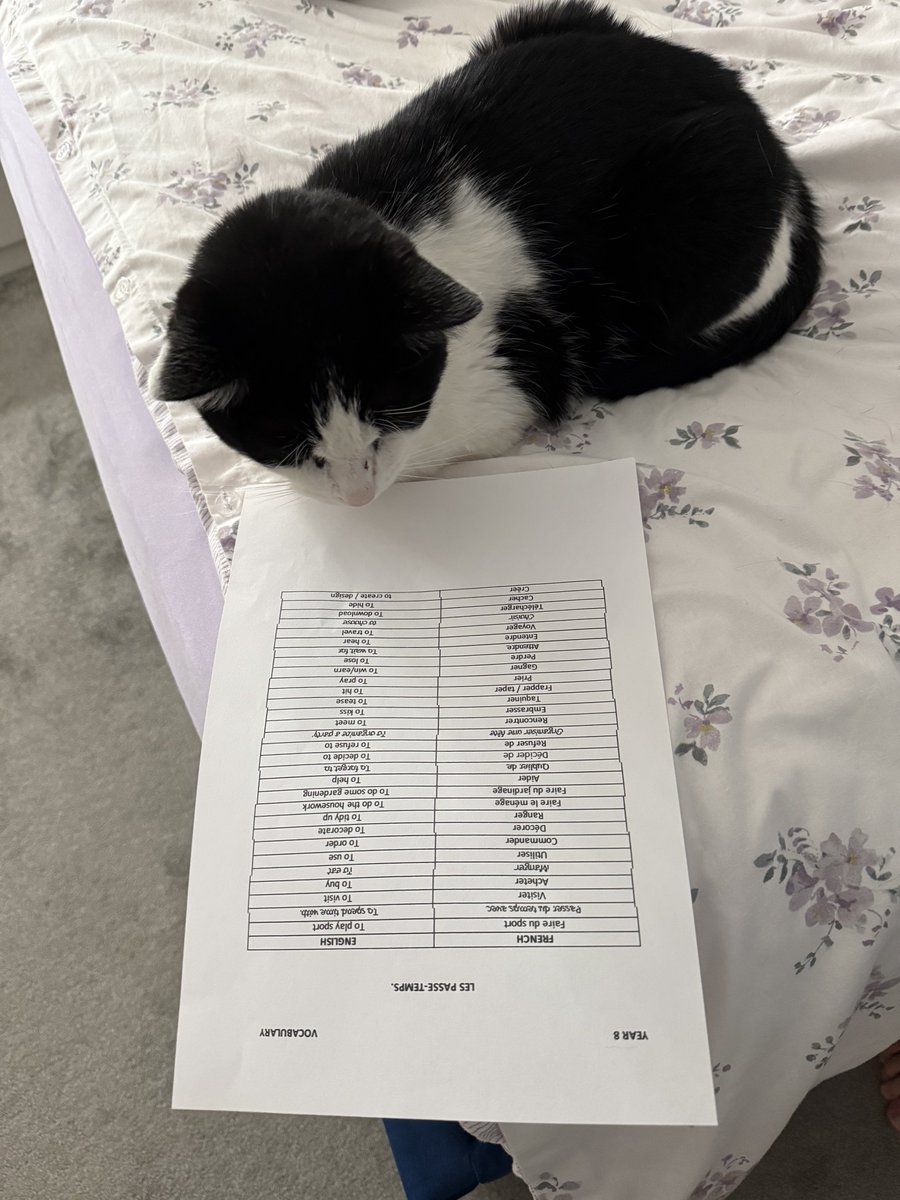 Dr__Sarmy's tweet image. Studying 📚 hard for his French vocab test tomorrow: