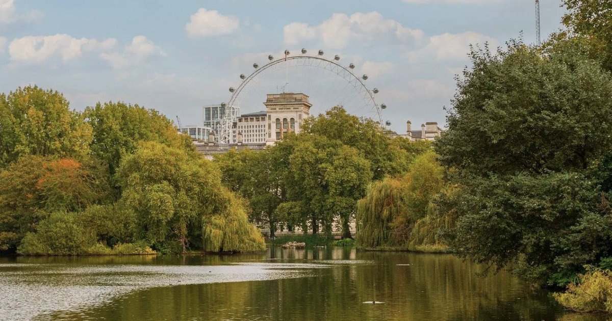 FNFCLB's tweet image. The @TimeOutLondon Offers useful suggestions for things to do in London with children, along with ideas to keep them entertained - timeout.com/london/things-…