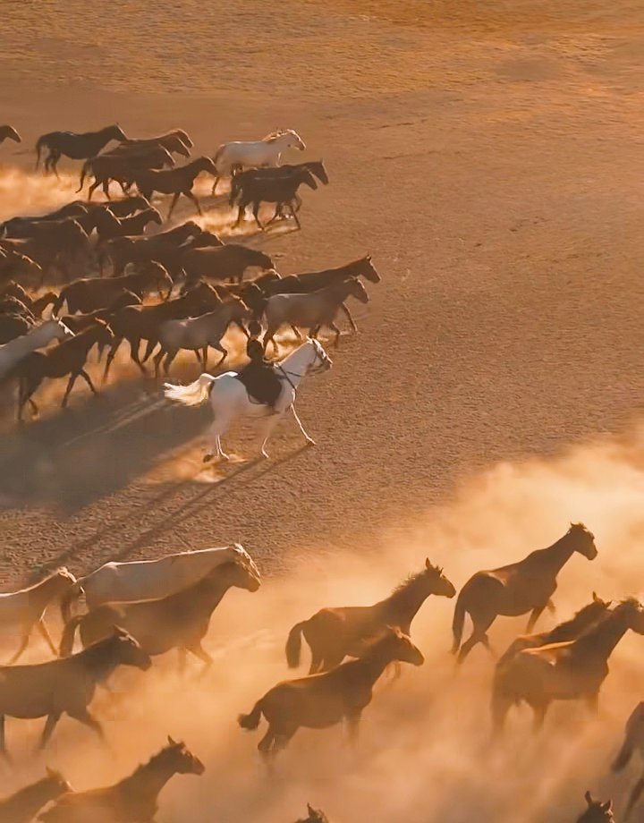 SajanSamtio's tweet image. Cynically, he who has power is always right.
#misuseofpower
#JudiciaryOnTrial