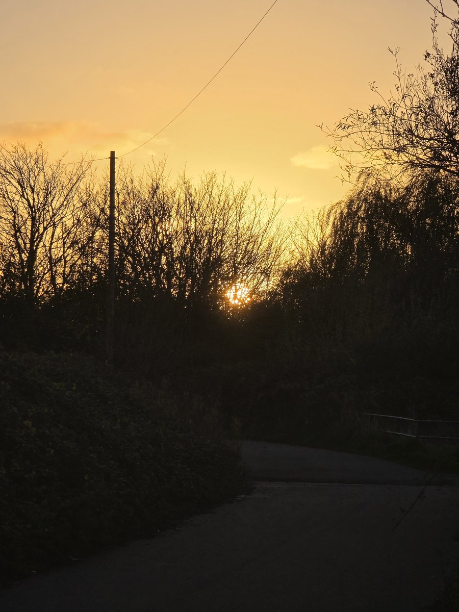 A Bunting bail out overnight but a glorious day on patch #Wirral today.   2 Greenshank the only highlight.