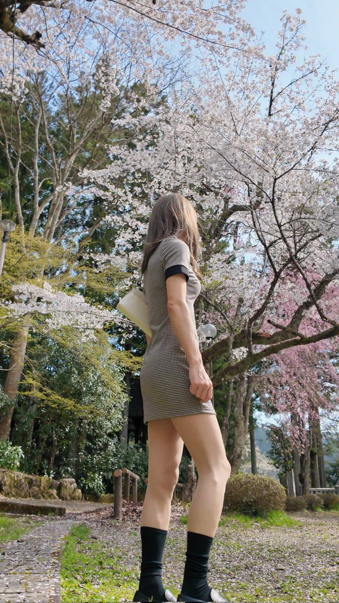 ともみん💫 tweet media